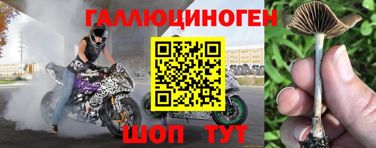 Псилоцибиновые грибы мицелий Мурманск