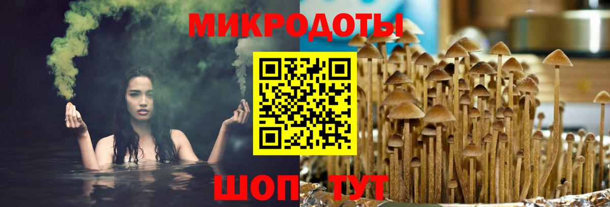 где купить наркоту  Псилоцибиновые грибы MAGIC MUSHROOMS  Вход с VPN  Мурманск 
